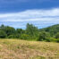 View over field on second lot