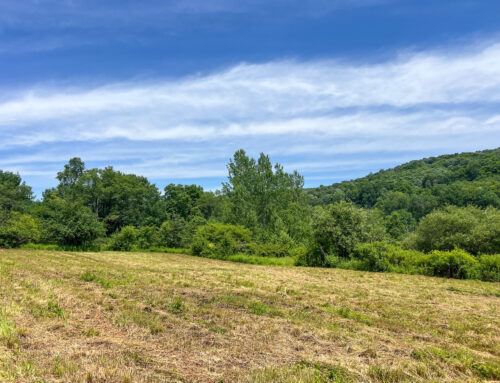 View over field on second lot