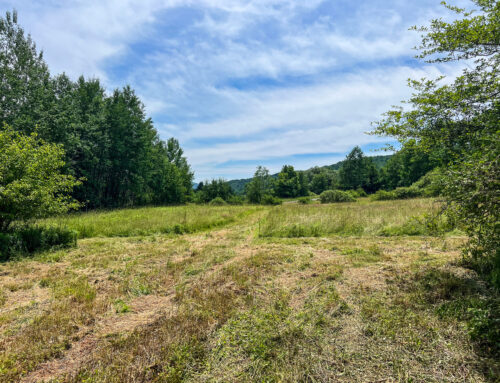 Open field on second lot