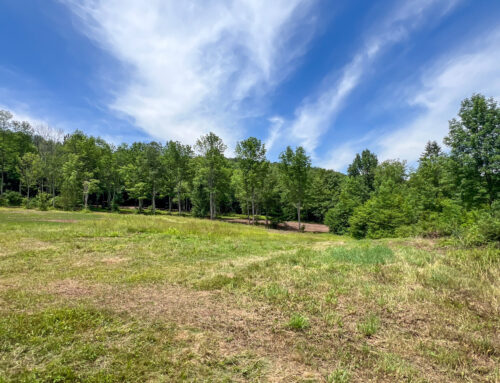 View back to build site