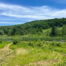 View to pond and mountains