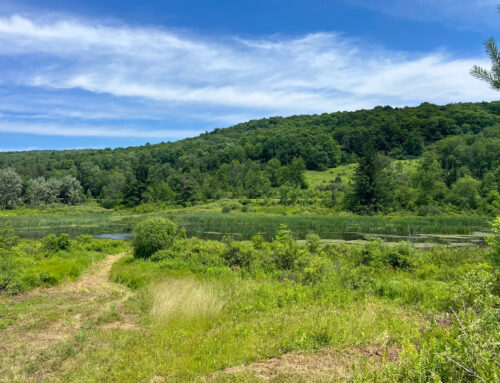 View to pond and mountains