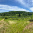 Panorama view of pond