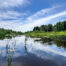 Established nature pond