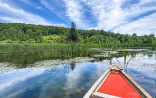 Canoe-able beaver pond