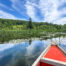 Canoe-able beaver pond