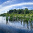 Gorgeous pond view