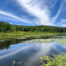 Pond view