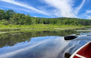 Canoeing on pond