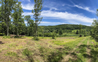 Panorama of build site and view