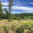 Panorama of build site and view